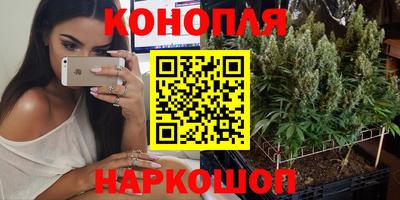 СК Канаш