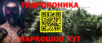 mdma Кандалакша