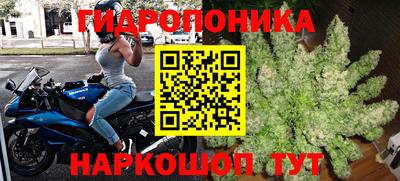 твердый Камышлов