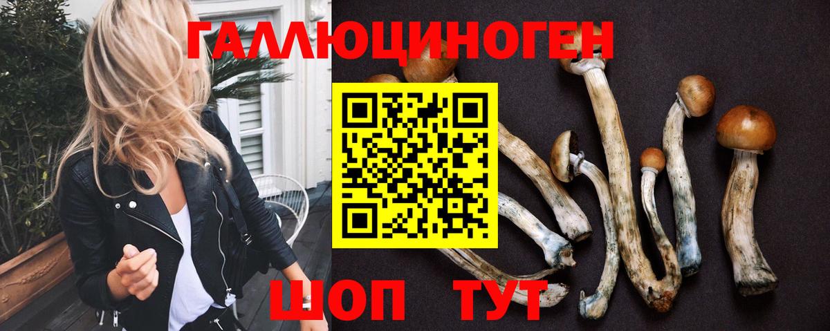 Псилоцибиновые грибы Psilocybine cubensis  Вход с VPN  Галлюциногенные грибы мухоморы  Холмск 
